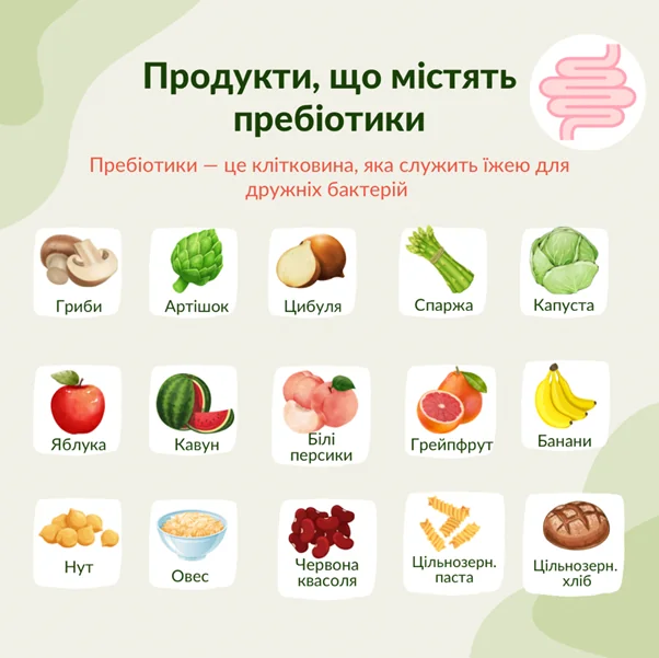 Фрукти багаті на пребіотики: яблука, банани, грейпфрут, персики та кавун