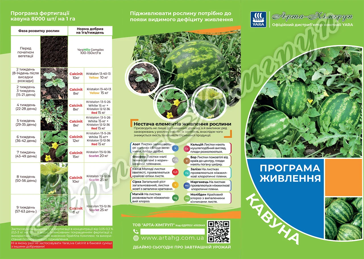 Чем подкормить арбузы и дыни в июне для сладких плодов Программа подкормки арбузов удобрениями по этапам роста растения